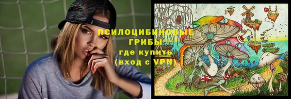 сатива Кукмор
