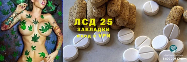 индика Алзамай