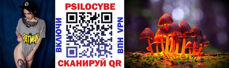 Псилоцибиновые грибы прущие грибы  Нестеровская 